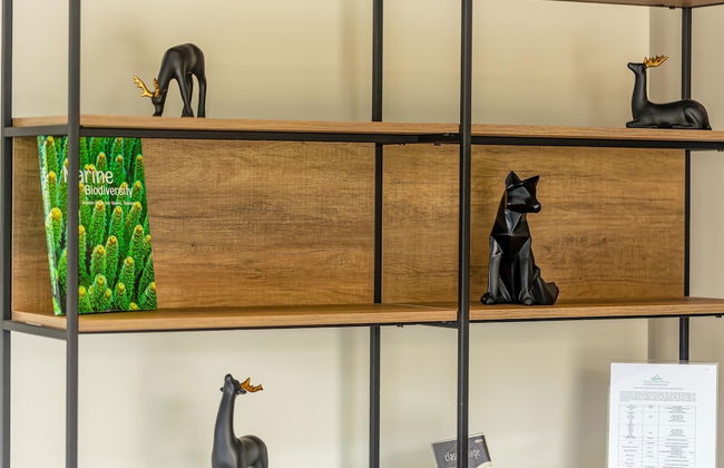 Modern 3 Bedroom Pool Villa MP67 - Foto 45