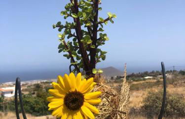 Afrikan Krisant Tenerife, Casa Rural Ecologica - Foto 43
