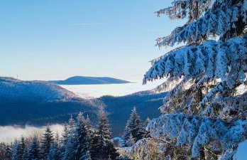 BliżejGorców - Foto 37