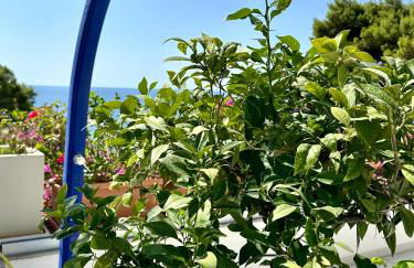 Villa Allegra - Foto 13