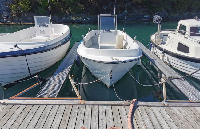 Blåbærhytta - Foto 18