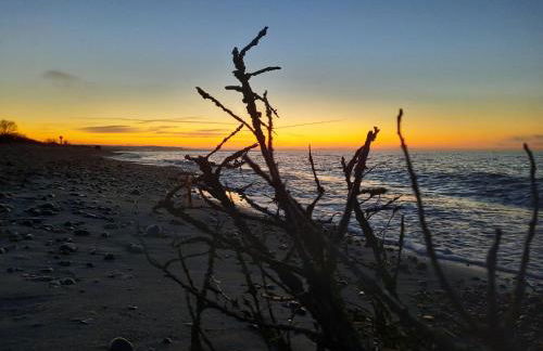 Ostseerauschen - Foto 35