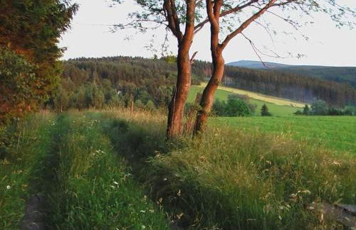 Holiday Home Ziller by Interhome - Foto 12