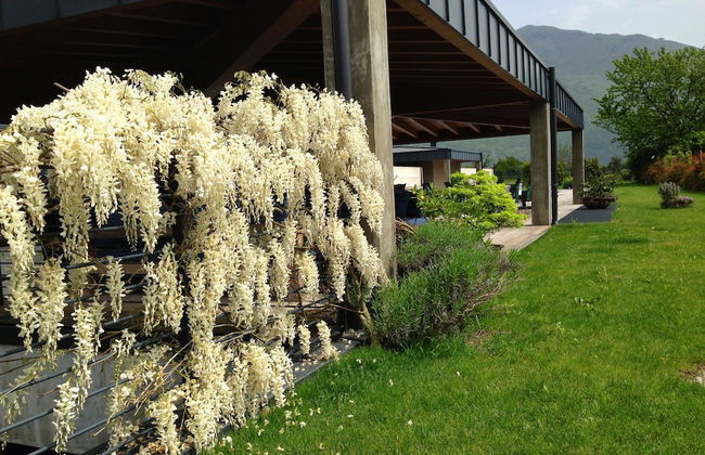 VIVERE suites and rooms - Photo 68