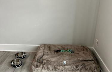 Blue Diamond Dream - Foto 23