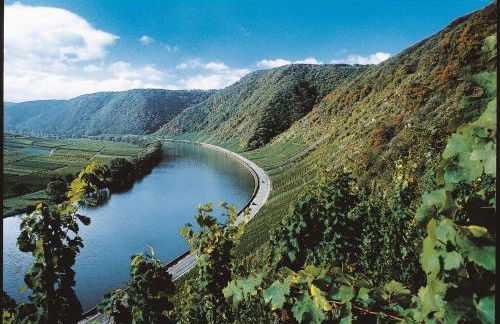 Ferienweingut Pies Ellenz-Poltersdorf - Foto 19