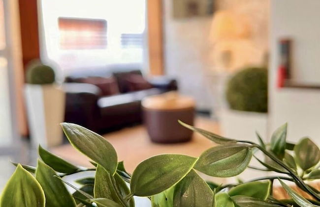 Hotel Sun Holidays - Foto 3