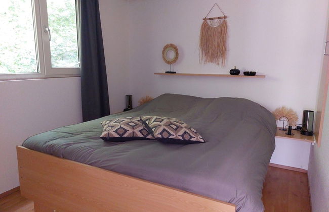 Cosy Holiday Home in Appelscha With Garden - Foto 4