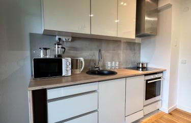 Beautiful apartment & pool Black Forest Häusern 5 people - Foto 5