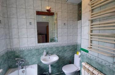 Mieszkanie nad jeziorem Rydzówka+prywatny staw+plaża+Mazury - Foto 24