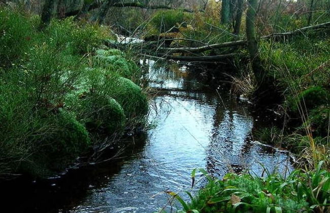 Chalet With Valley Views, - Foto 31