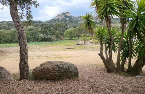 La RoseDan - Foto 14