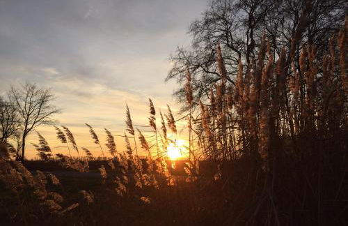 Spreewald-Ferienwohnung Reschke/Jahn - Foto 20