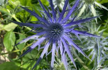 2-Zimmer-Ferienwohnung mit 2 Balkons - Golf, Bike & Wellness im Markgräflerland! - Foto 30