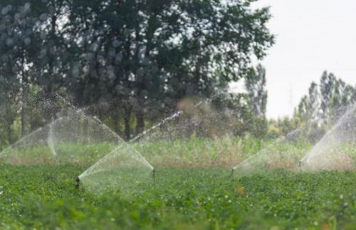 Agriturismo Primaluna - Photo 32