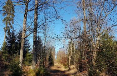 Traumhafte Wohnung im Herzen von Zwiesel mit Garten - Foto 22
