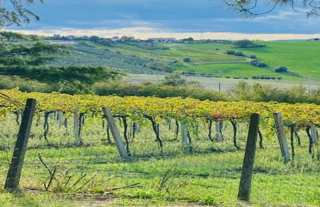 Apartment Amidst Vineyards & Blue Skies - Foto 38