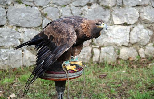 Maison Les Chênes - Jacuzzi - Calme & Idéalement situé - Clim - Salle de Jeux - Parking - Foto 52