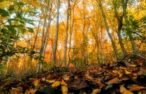 Tor zum Saueland mit Sauna und Whirlpool - Foto 26