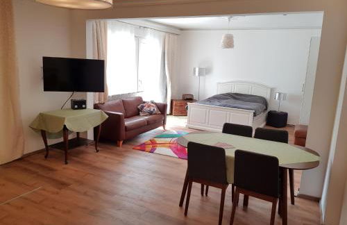 70m² Zweiraumwohnung am Spreewaldradweg in Cottbus - Foto 17