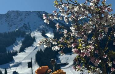 MOUNTAIN LODGE OBERJOCH - Allgäu - Foto 7