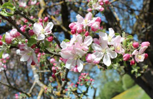 Allgäu Ferienhof Schönberger - Photo 62