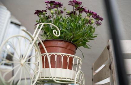 Grandma's House - Foto 27