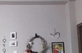 D&S home oinofita - Foto 16