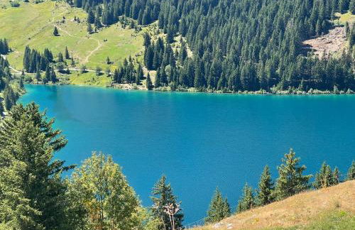 Les loups blancs - Foto 22