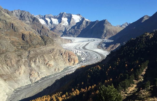 Amici 1. OG West - Foto 16