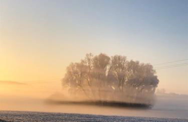 Strandgut und Feuerstein - Foto 8
