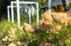 Domek w Karkonoszach - Foto 54