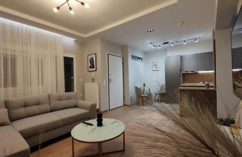 Luxury Apartments Deskati Α2 - Foto 10