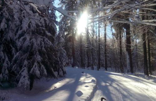 Ferienhaus in Vogtland - Foto 32