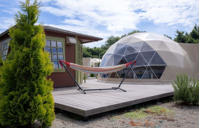 Hamiru's Forest - Foto 7