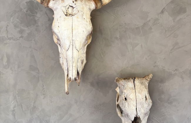 Into the Wild - Foto 6