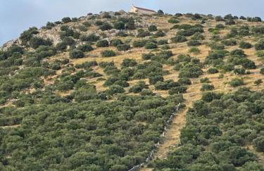 Apartmani Ines - Photo 32