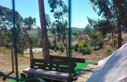 Herdade da Hera - Foto 51