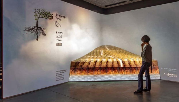 Visitando la exposición del museo