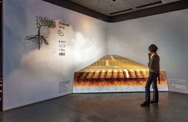 Entrada al museo enológico Pressoria + Cata de champán - Foto 5