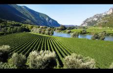 [The window On The Valdadige] Sport and Nature - Foto 1