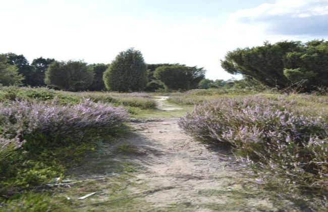 Holiday Home Mantinge Near Nature Reserve - Foto 25