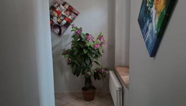 Residence CHECKIN A RICHIESTA - Photo 2