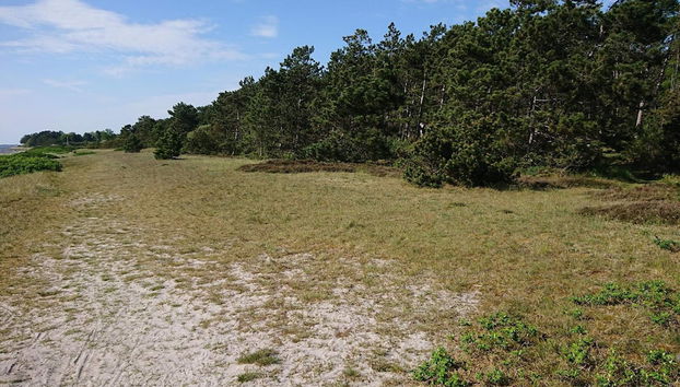 6 Person Holiday Home in Jaegerspris - Foto 3, Diversos