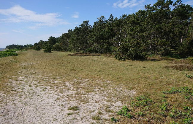 6 Person Holiday Home in Jaegerspris - Foto 3