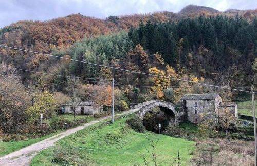 Appartamento Ponte Nuovo Premilcuore - Foto 1