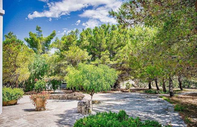 Torre Casciani - Foto 69