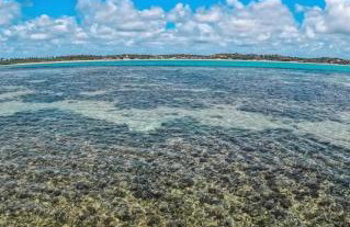 MSFlats Paripueira praia varanda c rede cozinha Wifi Ar split - Foto 9