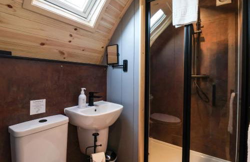 Oyster Catcher - Foto 13