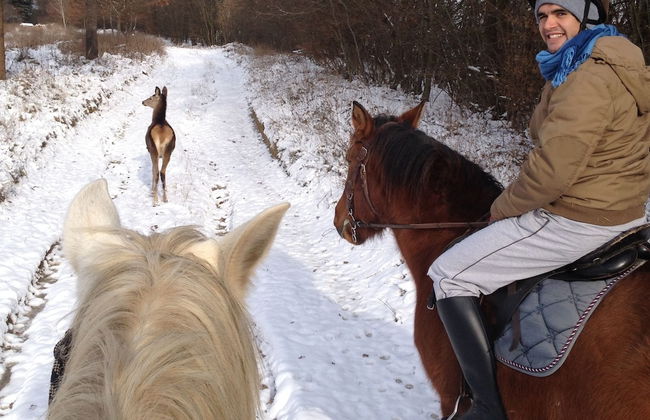 Kerca Bio Farm - Photo 46